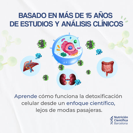 Curso Detox 15 años experiencia