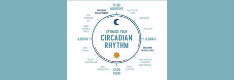 La clave de la salud óptima